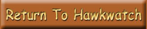 Return to Hawkwatch International website