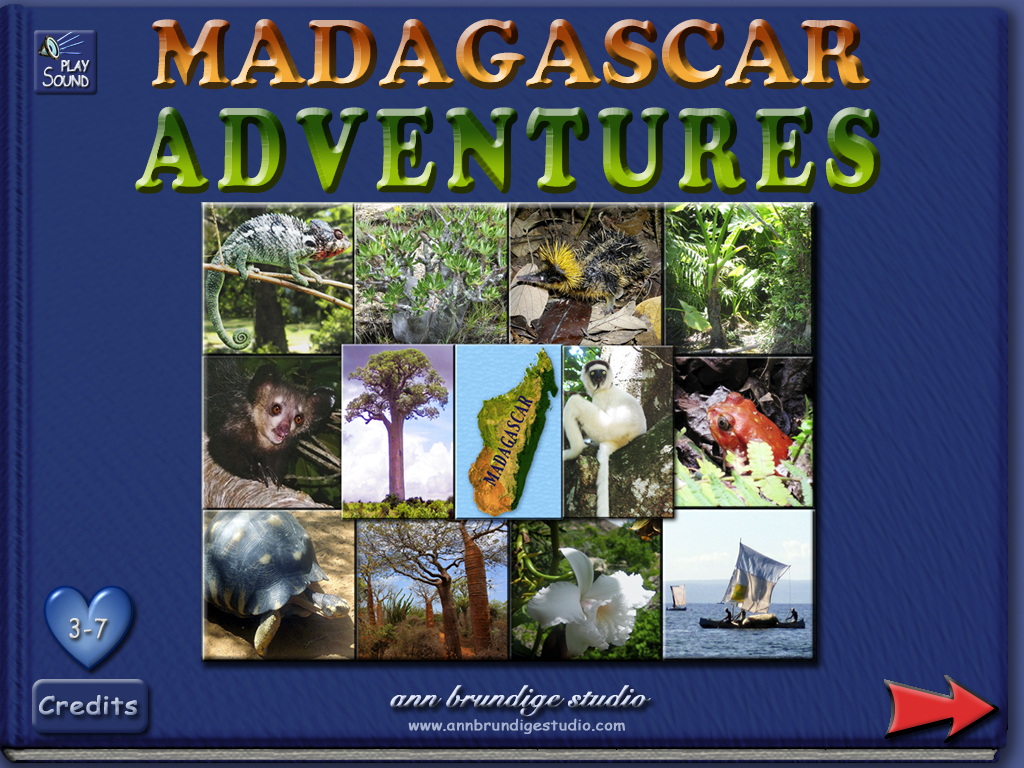 Image � 2011 ABS Madagascar Adventure Book cover